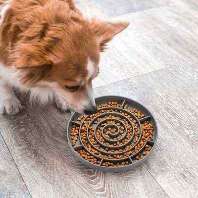 Dropship Lick Mat For Dogs Slow Feeder Bowl, Pet Lick Mat For
