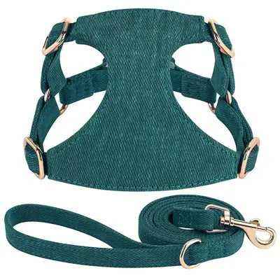 Didog Petal Paws Cozy Cotton Harness & Leash Set