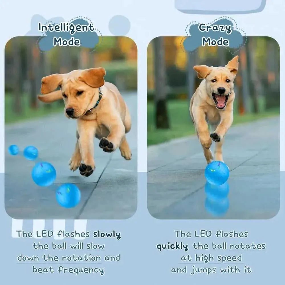 Pet Dog Toy Ball Smart Interactive Rechargeable Automatic Jumping Rolling Moving Ball with 2 Modes Motion Activated Dog Cat Toys