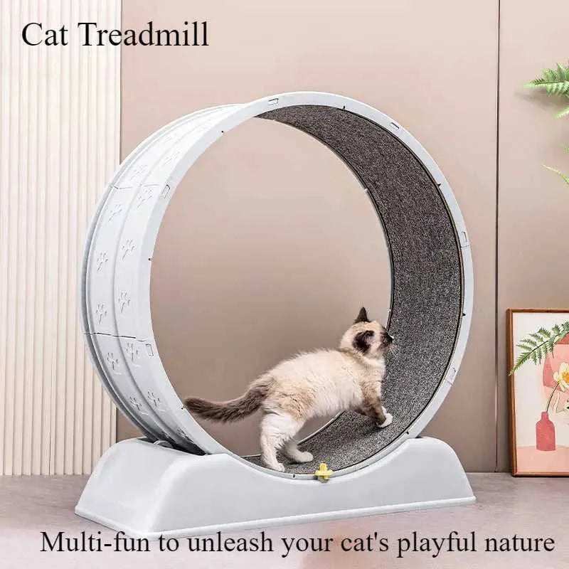 Treadmill for cats, treadmill for cats to parkour at home and small dogs, easy-to-assemble exercise rollers for cats, durable pl