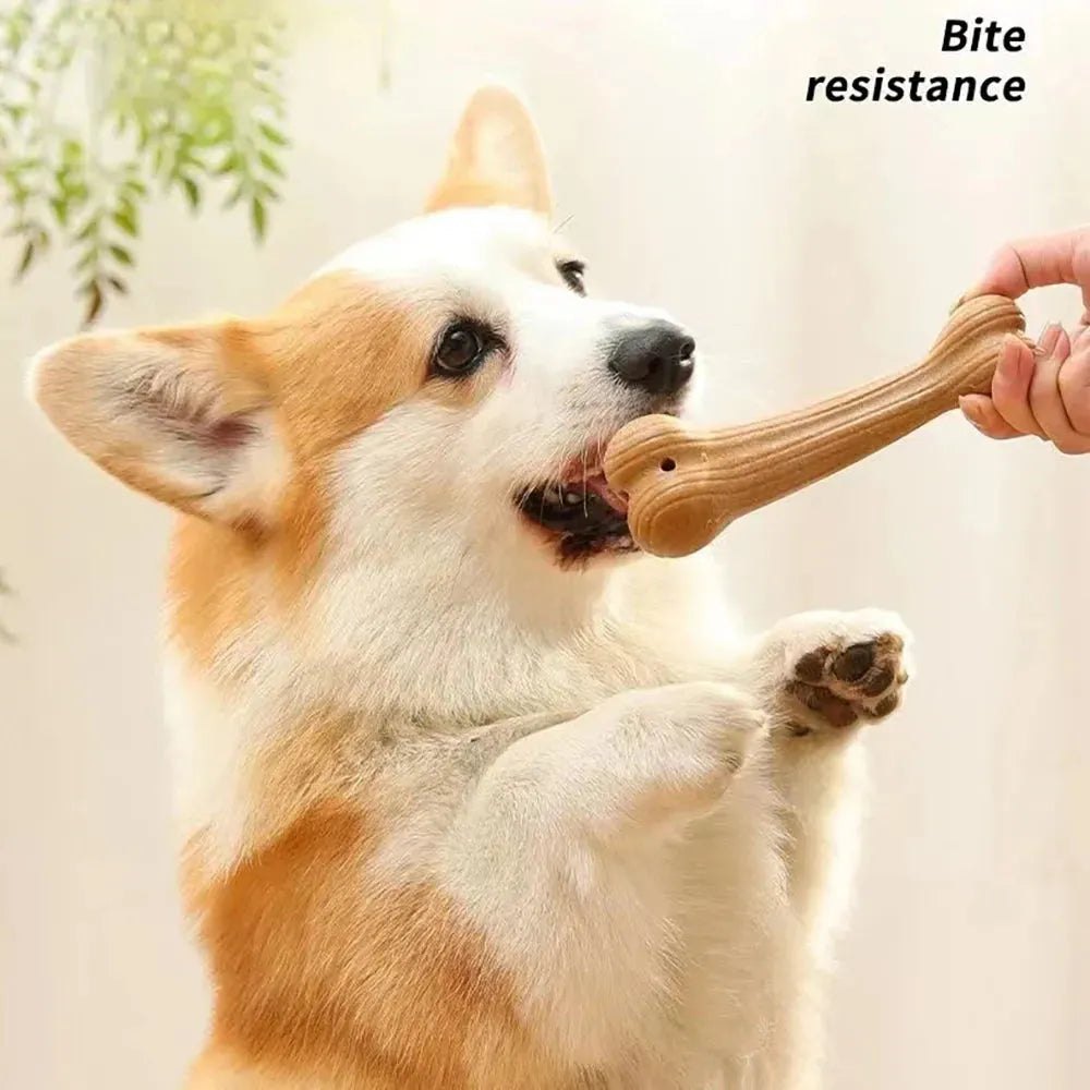 Bite Resistant Pet Dog Chew Toys Molar Teeth Clean Stick Interesting Pine Wood Cute Bone Shape Durable Pet Accessories