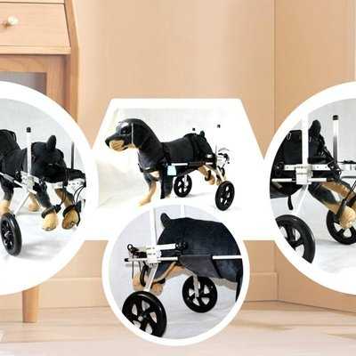 Elite Paws - Aviation-Grade Pet Wheelchair for Larger Dogs