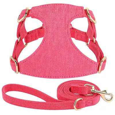 Didog Petal Paws Cozy Cotton Harness & Leash Set