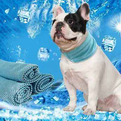 Cooling Dog Collar Instant Ice Pet Bandana Scarf Super Cool Collars for Hot Summer Small Dogs Collars Chihuahua French Bulldog