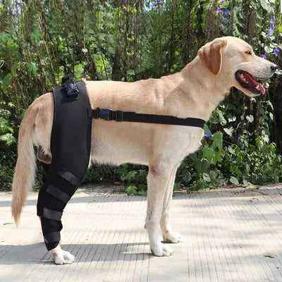 Dog Leg Brace Back Leg Support Pet Surgical Joint Wrap Protect Wounds Dogs Knee Protector Recovery Sleeve for German Sherperd