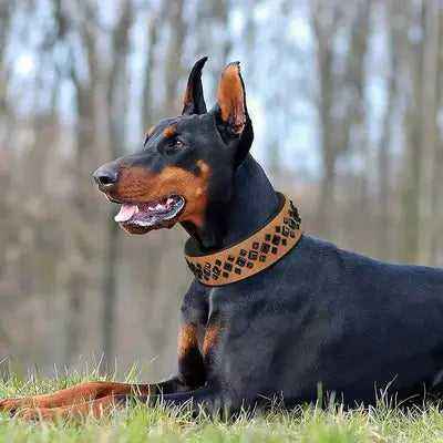 Leather Stud Rivet Dog Collar Padded PU Leather Dogs Collar Pet Collars Adjustable for Small Medium Dogs Pug Pitbull Red