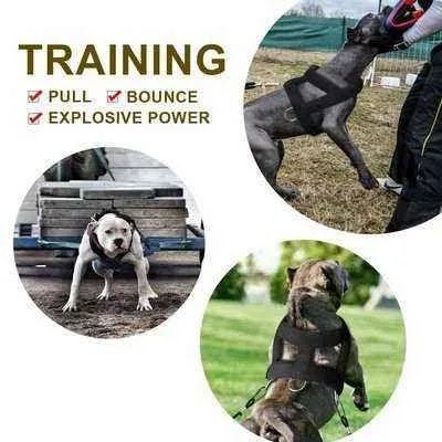 Luxury Weight Pulling Harness and Leash Set for Big and Strong Dogs