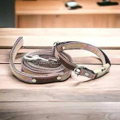 Chic Collar & Engraved Buckle for Your Stylish Pup 🐶