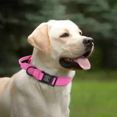 Elite Guardian Personalised Military Tactical Dog Collar for Large Dogs