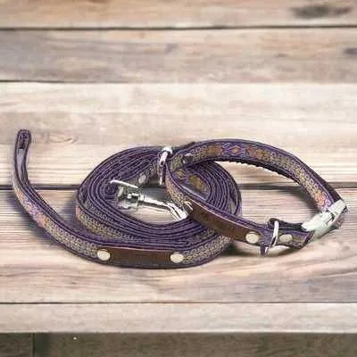 Finnigan's Designer Dog Collar Set: Your Pooch's Style Upgrade!