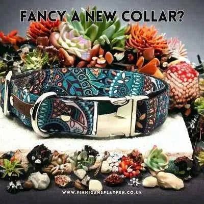 Wholesale Durable Designer Dog Collar No. 5l