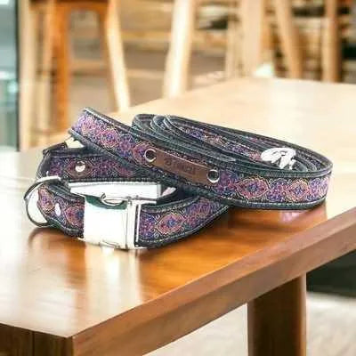 Finnigan's Designer Dog Collar Set: Stylish and Durable Happiness for Your Pup 🐾