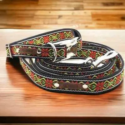 "Finnigan's Fancy Dog Collar Set: Stylish & Adjustable!"