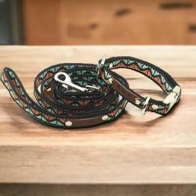 Finnigan's Designer Dog Collar Set: Elevate Your Pup's Style!