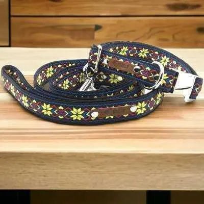 Finnigan's Stylish Custom Dog Collar Set