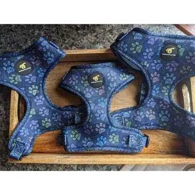 Wholesale Finnigan's Paws Up Harness