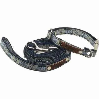 "The Archie" Whimsical Durability Dog Lead No. 5s by Finnigan's