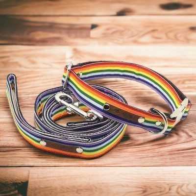 Finnigan's Bespoke Collection: Designer Collars and Leads Set