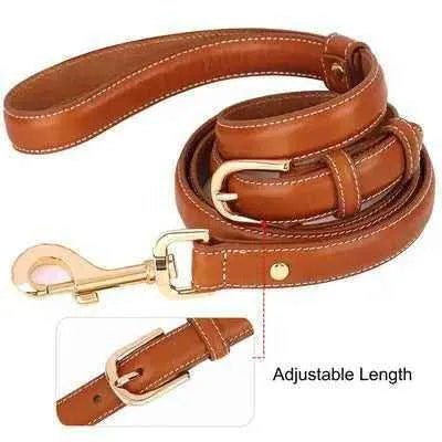 "Luxe Paws Leather Elegance Lead"