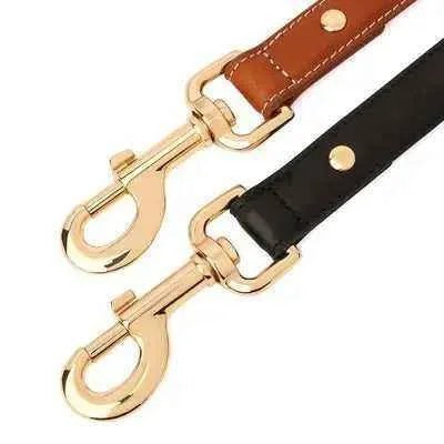 "Luxe Paws Leather Elegance Lead"