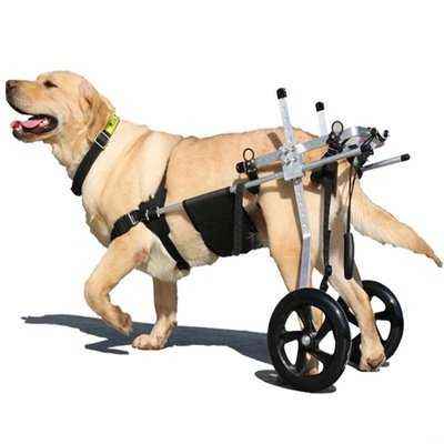 Elite Paws - Aviation-Grade Pet Wheelchair for Larger Dogs