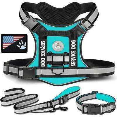 Dog Harness No-Pull Pet Vest Harness with Adjustable Hand Free Dog Leash Collar for Walking Running Night Reflective Service Dog - Finnigan's Play Pen