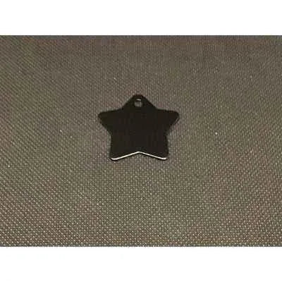 Engraved Pet Name Tag