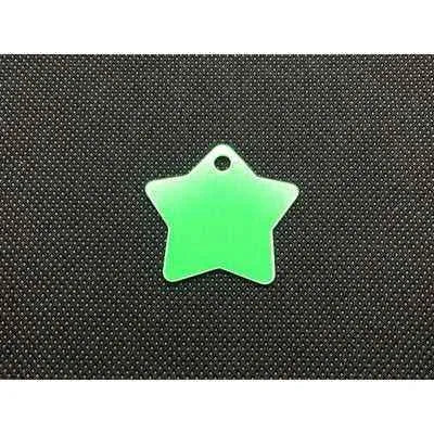 Engraved Pet Name Tag