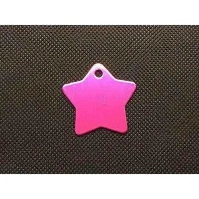Engraved Pet Name Tag