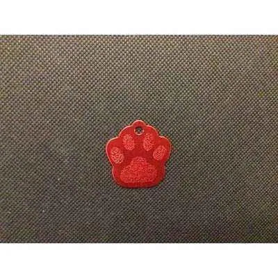 Engraved Pet Name Tag