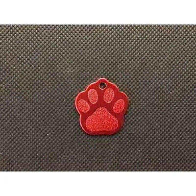 Engraved Pet Name Tag