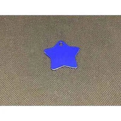 Engraved Pet Name Tag
