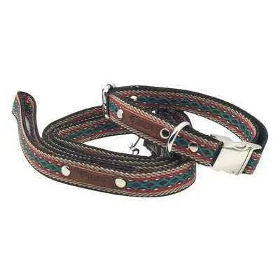 Finnigan's Whimsical Designer Dog Lead 🐾