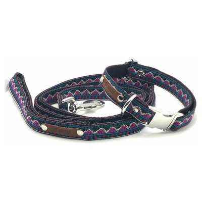Finnigan's Designer Dog Lead: The Pawsitively Chic Must-Have 🐾