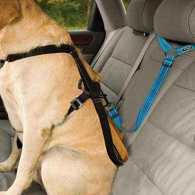 Dog Car Seat Belt Reflective Nylon Dogs Cat Safety Seat Belt Strap Car Headrest Restraint Safety Leads Vehicle Seatbelt Harness - Finnigan's Play Pen