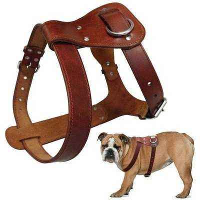 Genuine Real Leather Dog Harness Brown Training Vest Adjustable Straps Medium - Finnigan's Play Pen