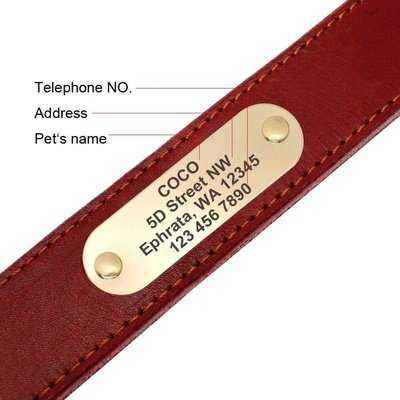 Personalised Dog Collar And Leash Set Real Leather Pet Collars Dogs Walking Lead Leash for Small Large Dogs Pitbull XXS-XL - Finnigan's Play Pen
