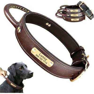 Exquisite Leather Dog Collar Set with Personalized ID Tag