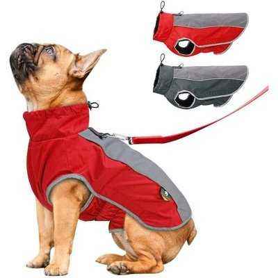 Regal Paws Waterproof Dog Jacket for Winter Walks