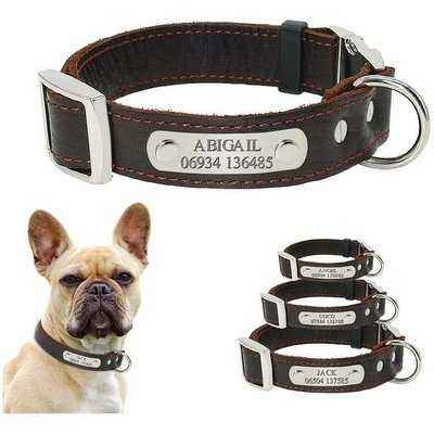 Real Leather Dog Collar Personalised Dogs Buckle Collars Anti-lost Engraved Name Tag Plate for Small Medium Dogs Pitbull Pug - Finnigan's Play Pen