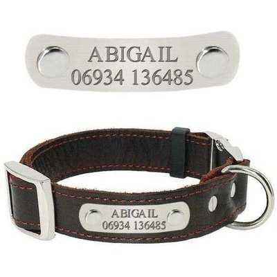 Real Leather Dog Collar Personalised Dogs Buckle Collars Anti-lost Engraved Name Tag Plate for Small Medium Dogs Pitbull Pug - Finnigan's Play Pen