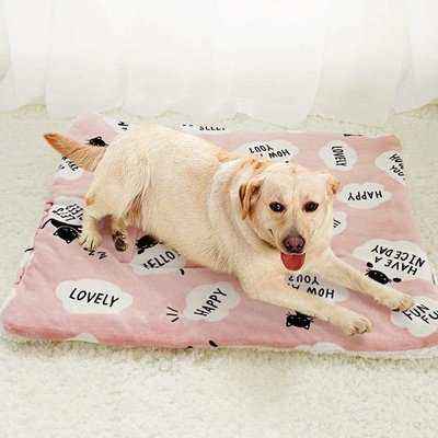 Winter Dog Bed Pet Blanket Pet Sleeping Mat Warm Cat Dog Bed Cover Pet Sofa Cushion Mattress For Small Dogs Chihuahua Bulldog - Finnigan's Play Pen