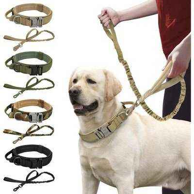 Elite Guardian Military Dog Collar and Bungee Leash Set