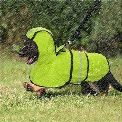 Pawsome Pets Reflective Raincoat for Furry Friends