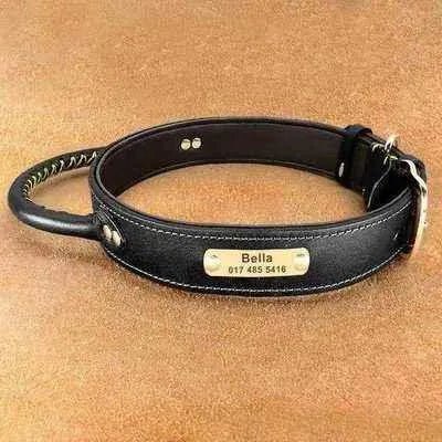 Exquisite Leather Dog Collar Set with Personalized ID Tag