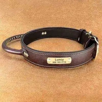 Exquisite Leather Dog Collar Set with Personalized ID Tag