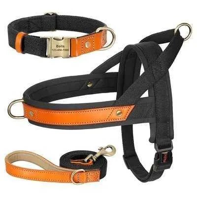 Royal Canine Charm Nylon Dog Collar Harness Leash Set