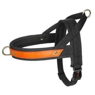 Royal Canine Charm Nylon Dog Collar Harness Leash Set