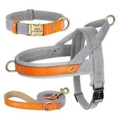 Royal Canine Charm Nylon Dog Collar Harness Leash Set