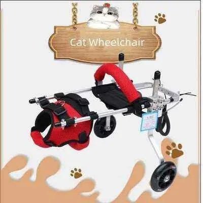 Regal Feline Chariot: Hind Leg Rehabilitation & Mobility